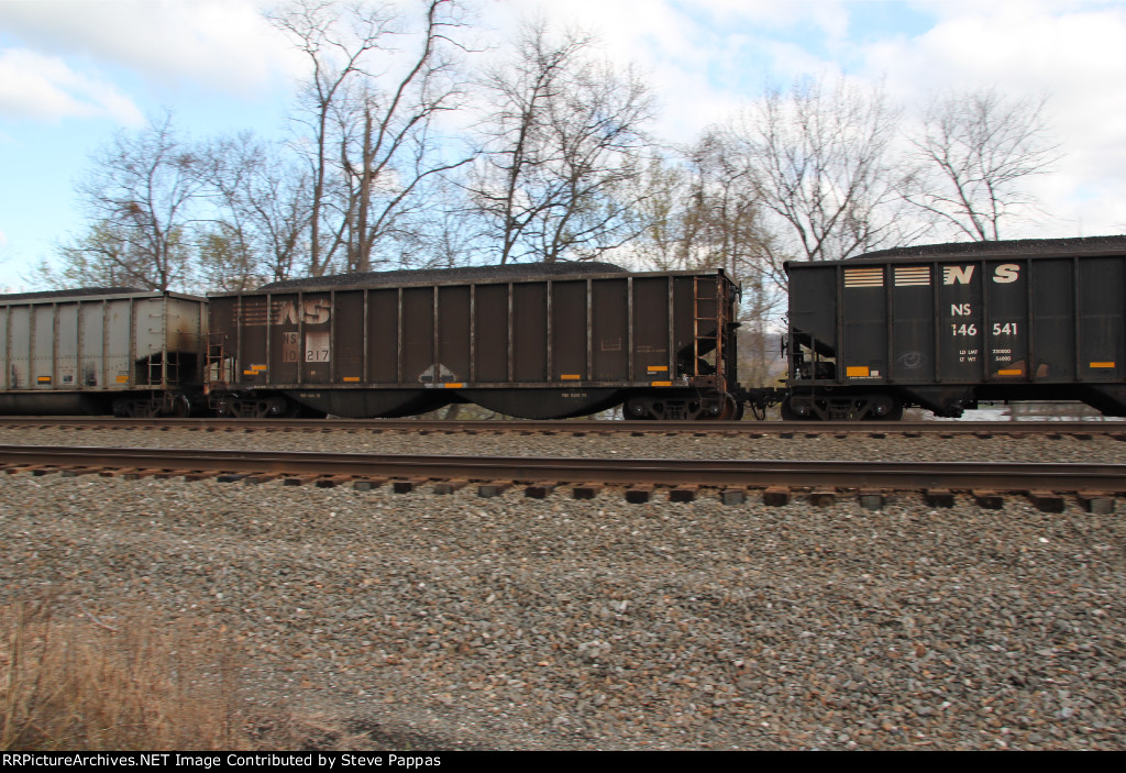 NS 10217